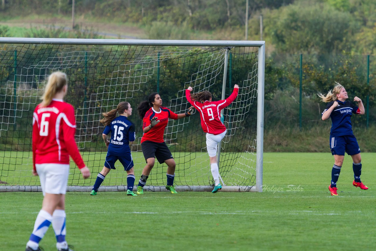 Bild 439 - B-Juniorinnen MSG Eiderkanal - SG Trittau/Sdstormarn : Ergebnis: 2:1